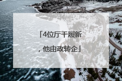 4位厅干履新，他由政转企