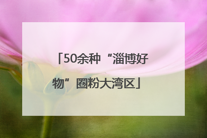 50余种“淄博好物”圈粉大湾区