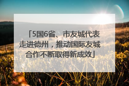 5国6省、市友城代表走进德州，推动国际友城合作不断取得新成效