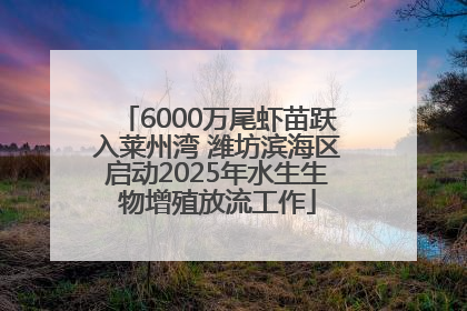 6000万尾虾苗跃入莱州湾 潍坊滨海区启动2025年水生生物增殖放流工作