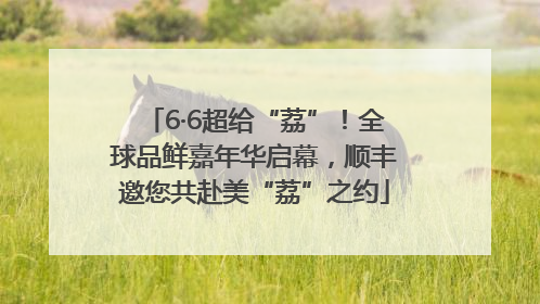 6·6超给“荔”！全球品鲜嘉年华启幕，顺丰邀您共赴美“荔”之约