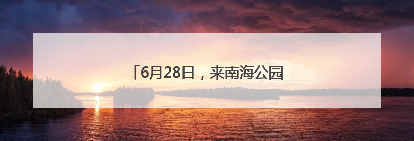 6月28日，来南海公园玩转超燃 “海洋大集”