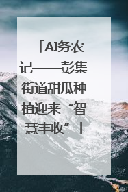 AI务农记——彭集街道甜瓜种植迎来“智慧丰收”