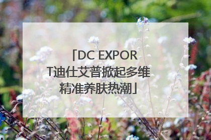 DC EXPORT迪仕艾普掀起多维精准养肤热潮