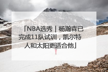 NBA选秀｜杨瀚森已完成11队试训，凯尔特人和太阳更适合他